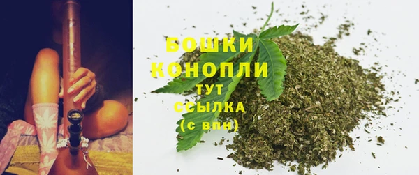 mdpv Богданович