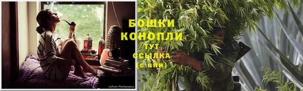 прущая мука Бородино